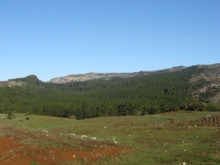 L&eacute;gende